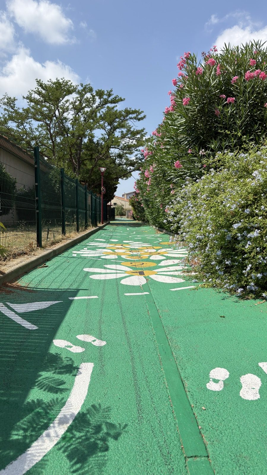 Le sentier fleuri — Camí d'en Ginest